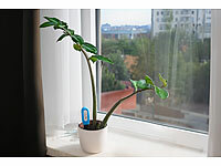; ZigBee-Boden-Temperatur- und Feuchtigkeits-Sensoren mit App, WLAN-Gateways mit Bluetooth 